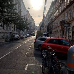 Early morning light on our morning run