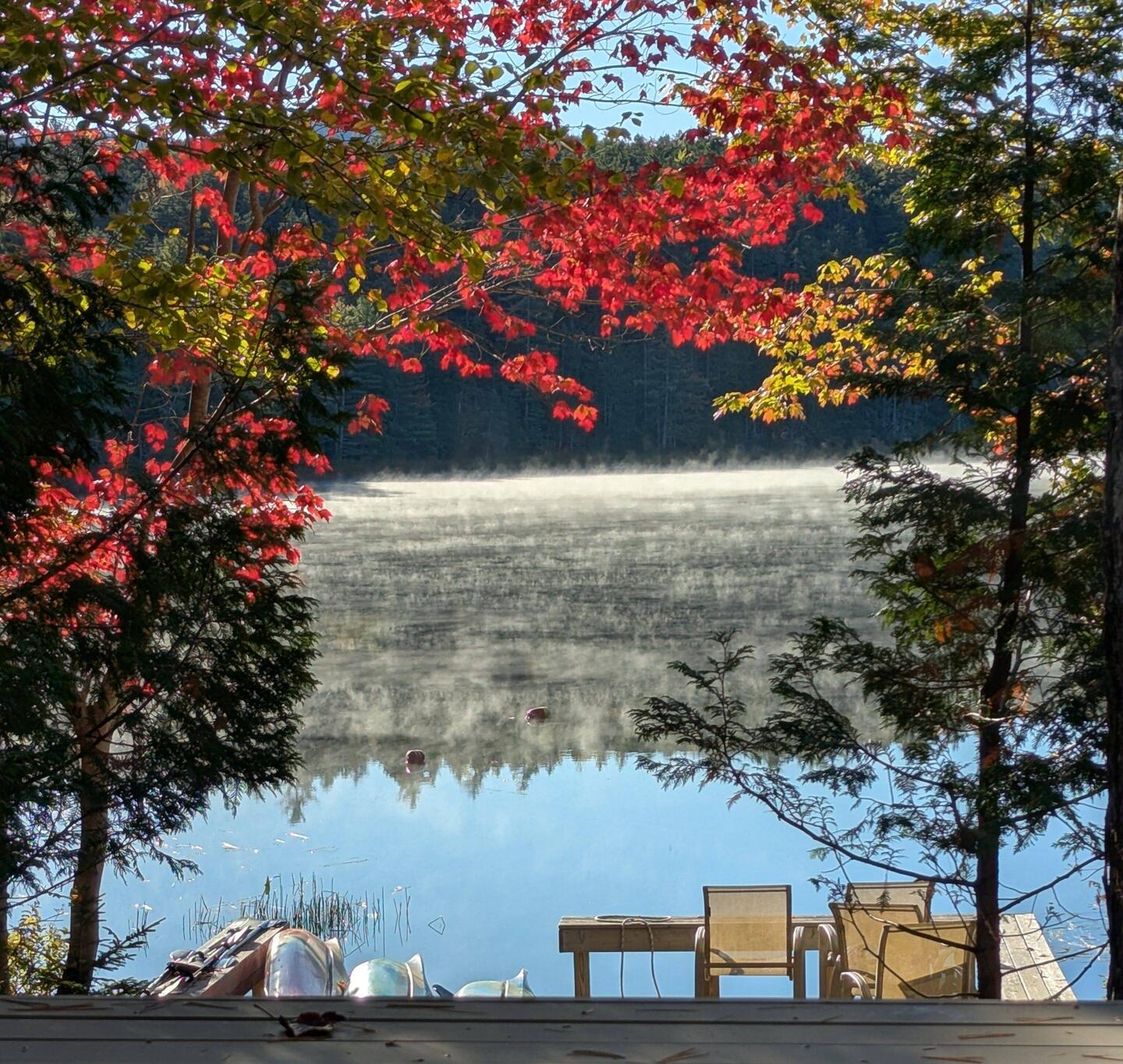 Morning fog on the lake
