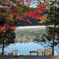 Morning fog on the lake