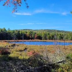 Beaver Pond 3