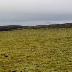 Jet black or yelloewish neon green