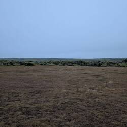 My camp site. Crowded again - with moss.