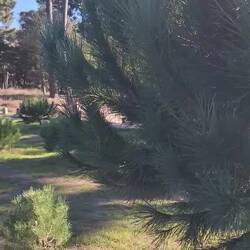 Esto es Caminhas, Portugl, y eso de ahi enfrente es España