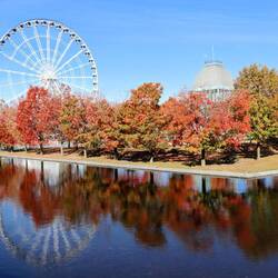 The beautiful colors of Indian summer.