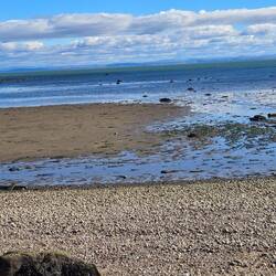 Another low tide picture