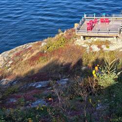 More red Adirondack chairs