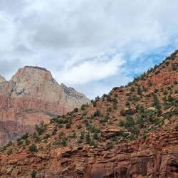 Eindrücke aus dem Zion NP