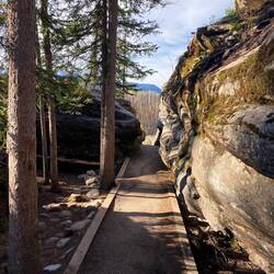 Diese schmalen Pfade führen durch die vom Athabasca River geschaffene Landschaft.