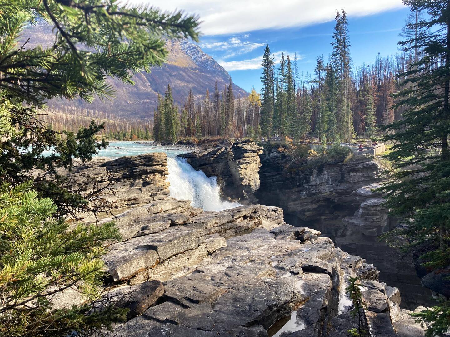 Ein beeindruckendes Zusammenspiel von Fels, Wald und Wasser – Naturgewalt inmitten der Rockies.