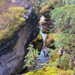 Über Jahrtausende hat das Wasser hier den Fels geformt und eine moosbewachsene Kluft geschaffen.
