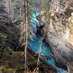 Ein Kontrast aus rauer Steinlandschaft und leuchtendem Grün, geformt von Wasser, Eis und Zeit.