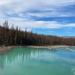 Nach dem tosenden Fall fließt der Athabasca River still weiter durch die Landschaft der Rockies.