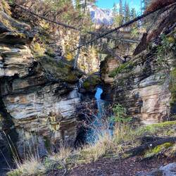 Gefallene Bäume verweben sich über der tosenden Schlucht.