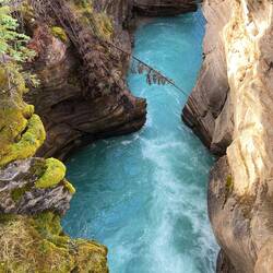 Das Schmelzwasser der Gletscher färbt den Athabasca River in dieses intensive Blau.