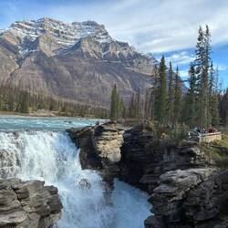 Die Athabasca Falls stürzen donnernd in die Tiefe.