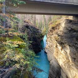Die Brücke überspannt eindrucksvoll die vom Wasser geschaffene Schlucht des Athabasca River.