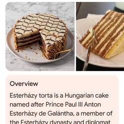 The delish Esterhazy cake!!