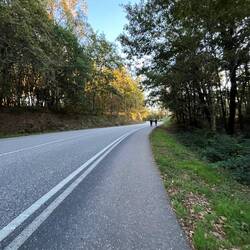 Back to the trail, thankfully!