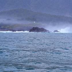 Out in the Tasman Sea