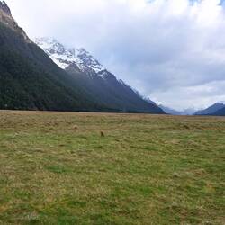Eglinton Valley, en route to Milford Sound