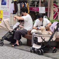 Entweder mit Kind oder mit Hund