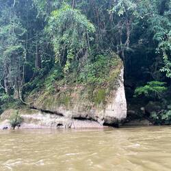 Die Penan nennen es den Schafkopf, ich sehe den Kopf einer Echse 😊