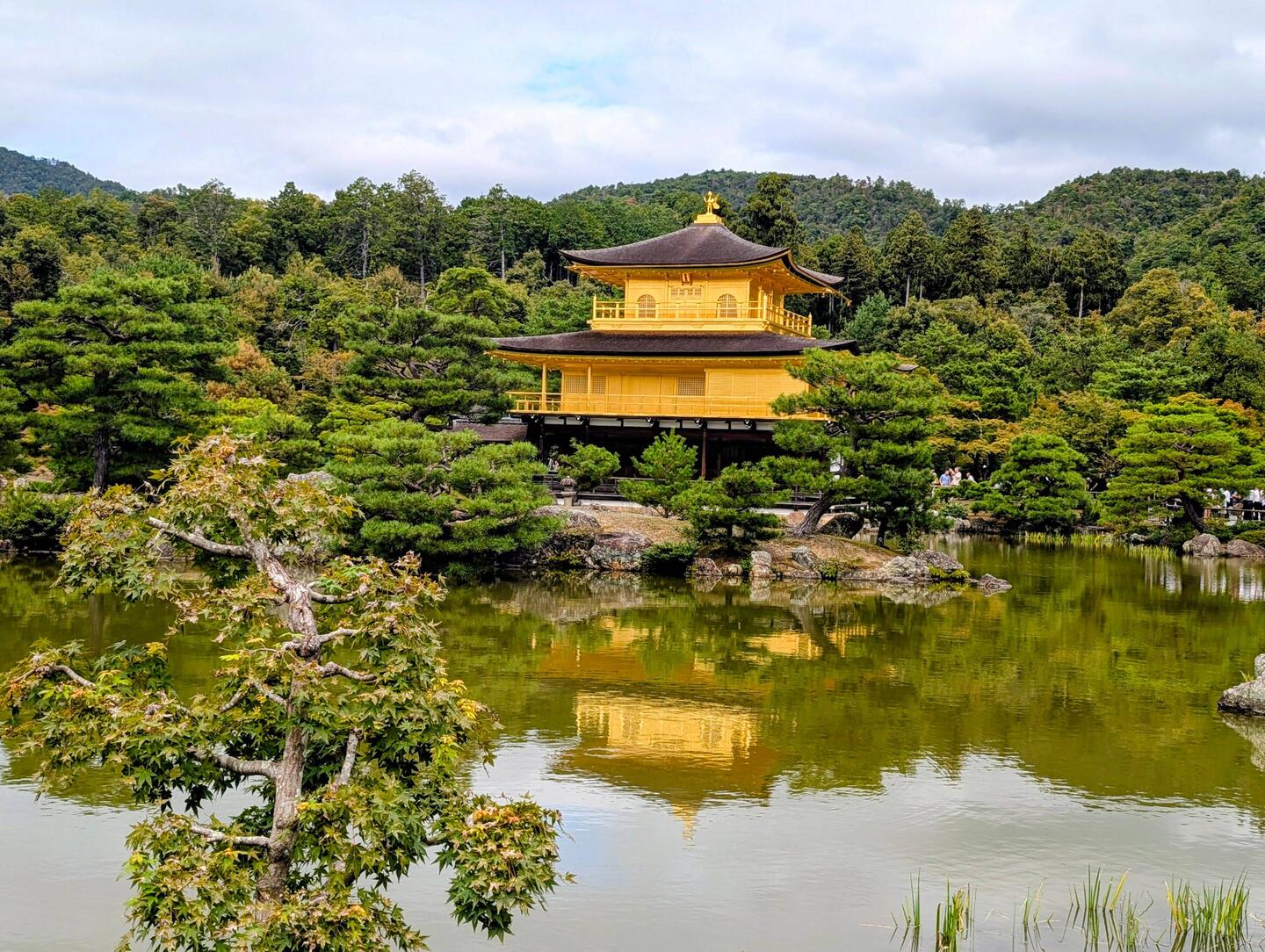 Der Goldene Zen-Tempel mit Blattgold