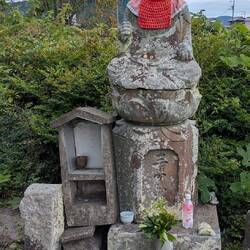 Jizo with offerings of bottled water, local citrus fruit and camphor leaves