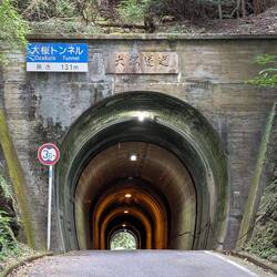 Walk through the tunnel