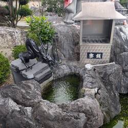 Dragon water