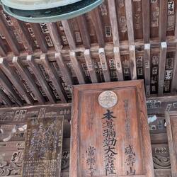 Roof of main hall, Temple 14