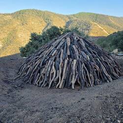 Charcoal production next to the road.