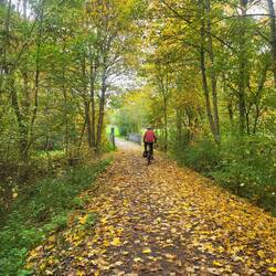 Teilweise geht's durch herbstliche Wälder.
