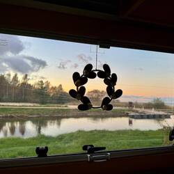 Blick aus dem "Wohnzimmer" auf einen kleinen Stichkanal!