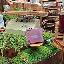 A method for drying tea leaves.