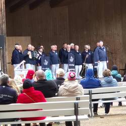 De Prohner Hafengäng