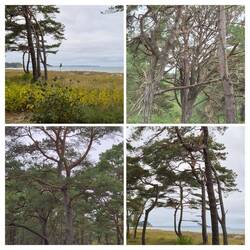 Impressionen vom Heimweg