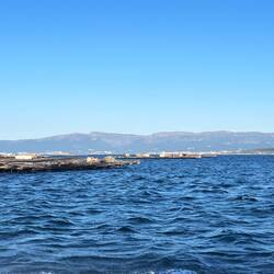 So many. Obviously there's quite a market for mussels.