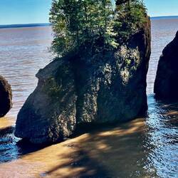 High Tide