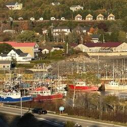 When the tide goes out, these boats sit on boat stands