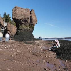 Jill painting the arch. Indy is sitting in the mud