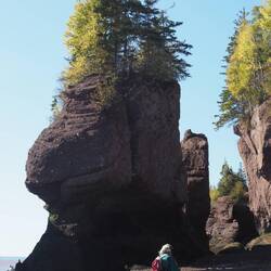 Many of the larger rocks have trees and other vegitaton on top.