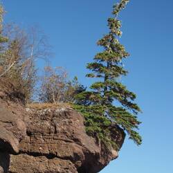On the edge