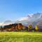 Goldene Herbstfarben vor der Kulisse des Wilden Kaiser Gebirges