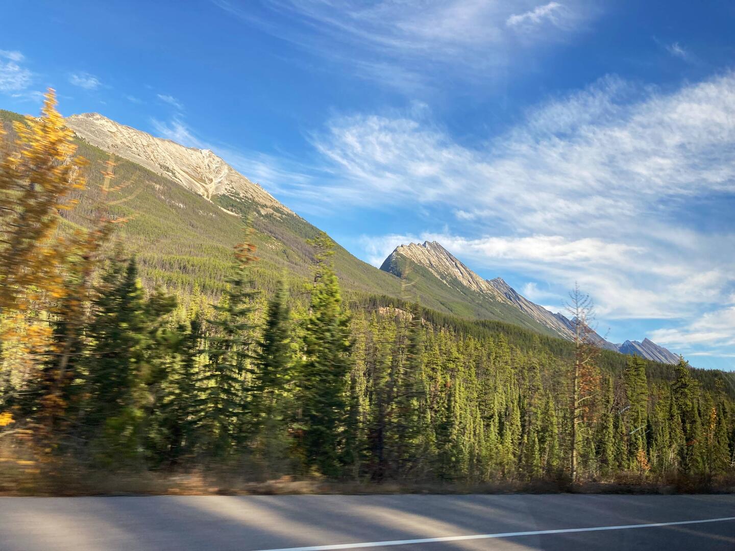 Zwischen Himmel und Erde: Die Straße schlängelt sich durch unberührte Wildnis.
