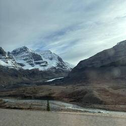 Der Athabasca Glacier rückt näher – ein weißes Band aus Eis, das sich still ins Tal schiebt.