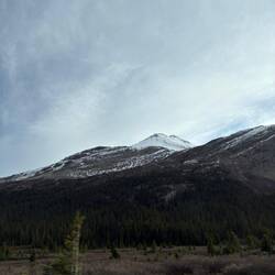 Ein schneebedeckter Gipfel erhebt sich über den dunklen Wald – still und erhaben.