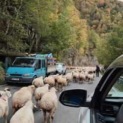 Da sind sie wieder..