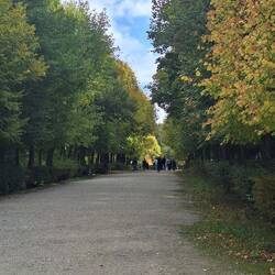 Beautiful tree lined avenues