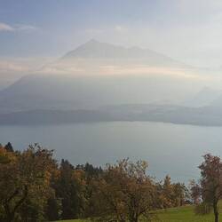...Zuhause auf dem Balkon...